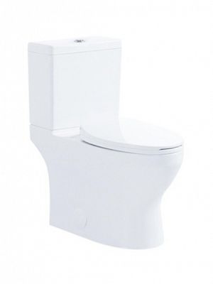 Isaac Two-Piece Toilet